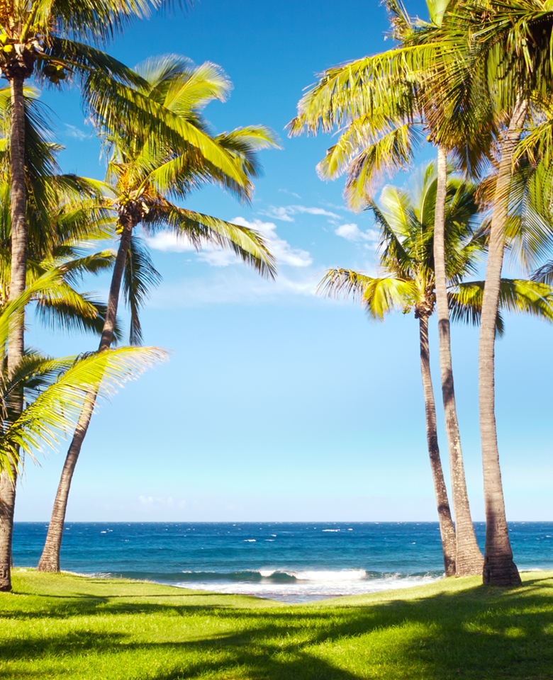 This image for Image Layouts addon